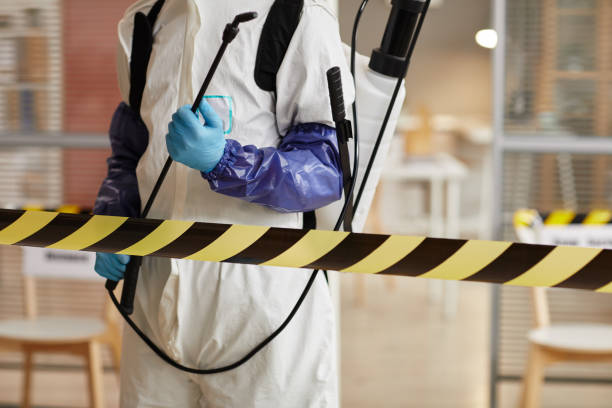 Professional Sewage Cleanup technician working in Lexington, MO